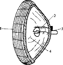 ܇ǰ՟ĽM_ǰ՟ķN