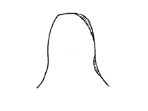 13.png