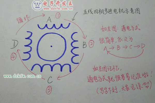 五線四相步進電機結構示意圖