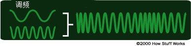 {(dio)l (FM)