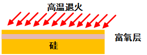 оƬԔ(x)E