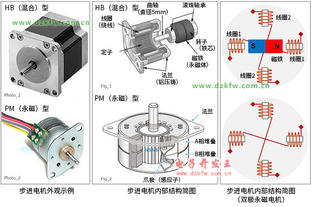 步進電機外觀示例,步進電機內(nèi)部結(jié)構(gòu)簡圖